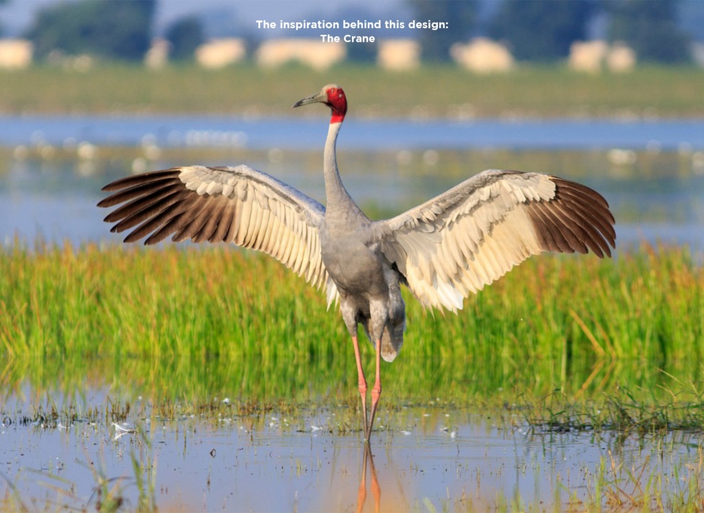 Crane.jpg