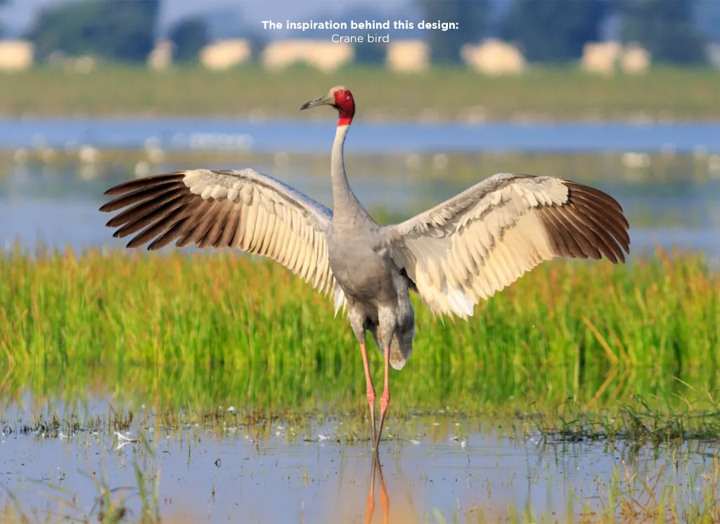 Crane.webp